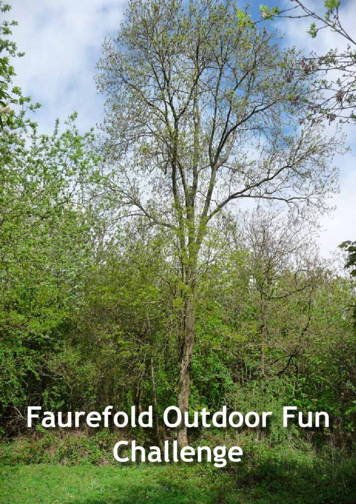 Faurefold-Outdoor-Fun-2021-pdf-724x1024