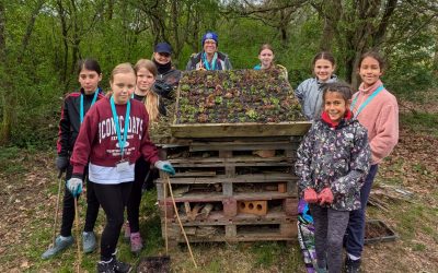 Leatherhead division guides make a difference at Faurefold